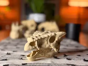 Dinosaur Skull Fossil (Ankylosaurus aka Bumpy)