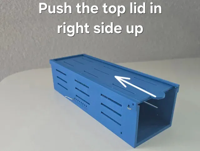 Mouse Trap Live Simple and Robust — Фото 16 из 17