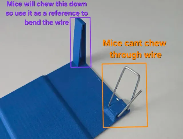 Mouse Trap Live Simple and Robust — Фото 10 из 17
