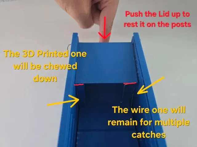 Mouse Trap Live Simple and Robust — Фото 14 из 17