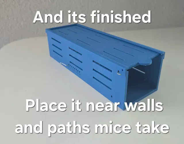 Mouse Trap Live Simple and Robust — Фото 17 из 17