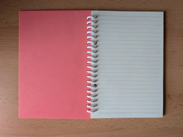 Cute Capybara Watermelon Notebook Cover — Фото 3 из 4