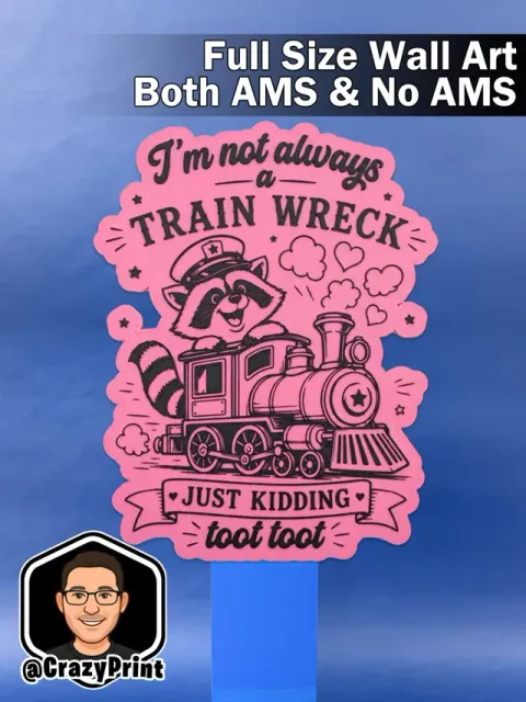Funny- Im not a Train Wreck Wall Art/ Sign -NoAMS — Фото 3 из 5