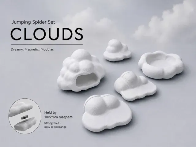 CLOUDS – Jumping Spider Set