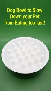 Dog Bowl - Slow Eating