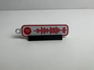 Spotify Keychain - Apache - Coco Chanel