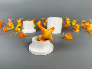 Spinning top mold   陀螺模具