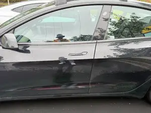 Tesla Model 3/Y Door Handle Cover