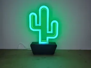 Cactus RGB LED Lamp – 12V Light with IR Remote
