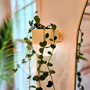 Modern Wall Mount Lamp Planter