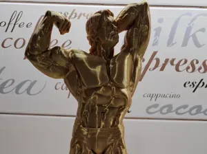 Arnold Schwarzenegger figurine