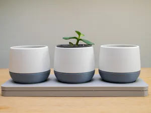 Mini Plant Pots with tray and drainage