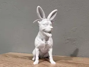 American Pit Bull Terrier with Bunny Ears. Easter