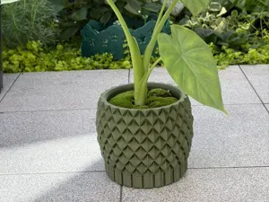Leaf Pattern Planter & Plant Pot
