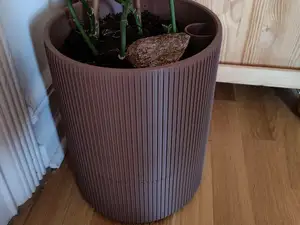 Self Watering Large Pot 