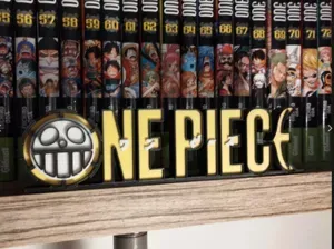 ONE PIECE LAW