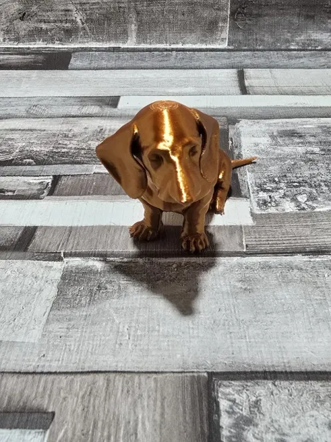 Dachshund sausage dog puppy — Фото 4 из 5