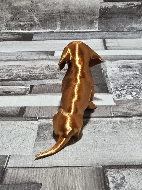 Dachshund sausage dog puppy — Фото 5 из 5