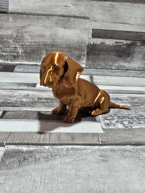 Dachshund sausage dog puppy — Фото 2 из 5