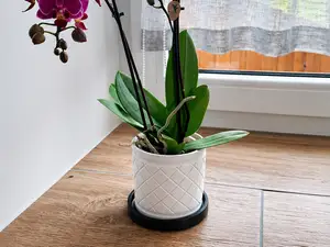 2-Part Flower Pot with Matching Saucer