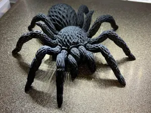 Vogelspinne