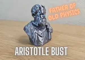 Aristotle Bust (Father of old Physics)