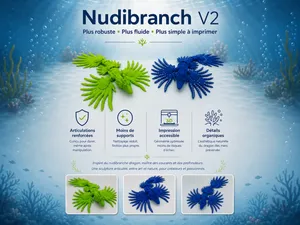 Nudibranch V2