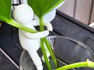 Propagation Buddy - plant support figures