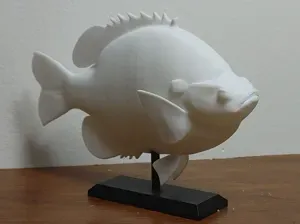 Bluegill Fish Mount 2