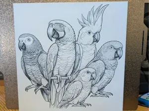 World of parrots - hueforge 2 colours