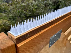 Vogelabwehr Spikes