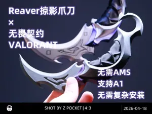 Reaver掠夺爪刀/掠影爪刀【无畏契约VALORANT】