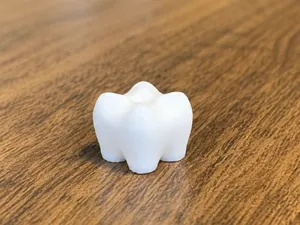 Fake Tooth