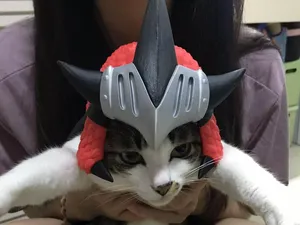 怪物猎人-火龙猫猫帽