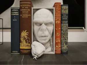 Voldemort Book Nook and Wall Mount