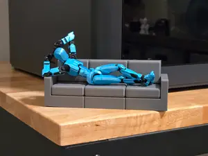 Couch for Dummy 13
