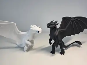 How to Train your Dragon - Toothless and Lightfury