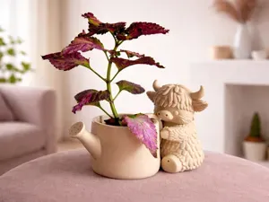 Highland Cow Watering Can Planter