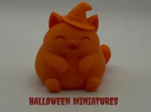 Pumpkin Witch Chonk Cat