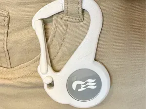 Carabiner Clip for Princess Medallion