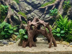 Aquarium Terrarium Natural Tall Driftwood Root