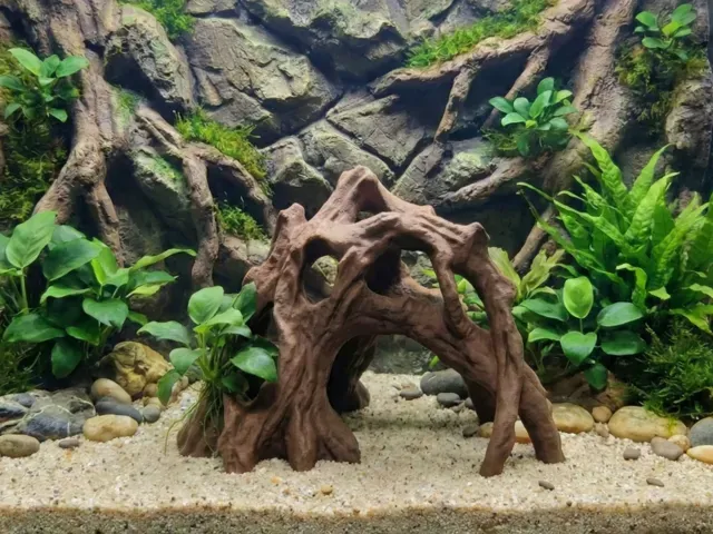 Aquarium Terrarium Natural Tall Driftwood Root