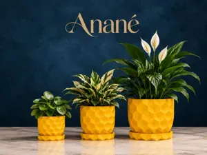Anané – Faceted Pineapple Planter with Drip Tray