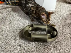 Modular Cat ball track