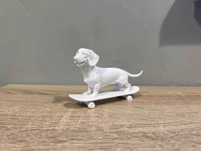 Dachshund, Sausage Dog on skateboard! — Фото 5 из 5