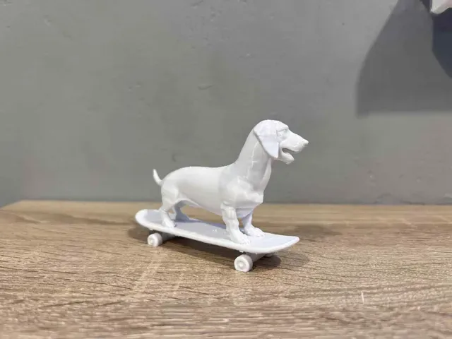 Dachshund, Sausage Dog on skateboard! — Фото 3 из 5