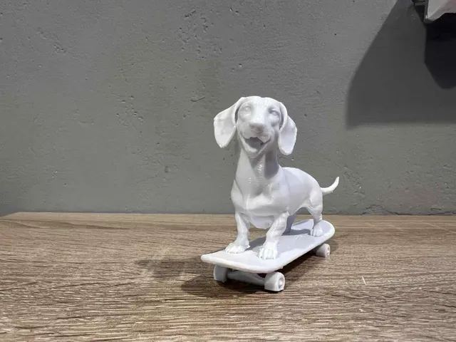 Dachshund, Sausage Dog on skateboard! — Фото 4 из 5