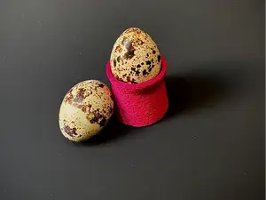 Eierbecher für Wachteleier