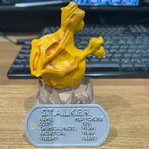 S.T.A.L.K.E.R. 2 artifact - Meat Chunk