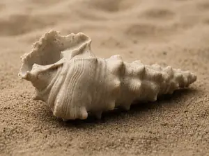 Realistic Seashell #1 - Aquarium & Home Decor